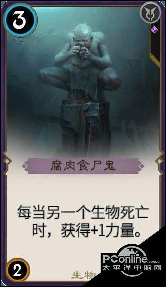 这是什么植物？